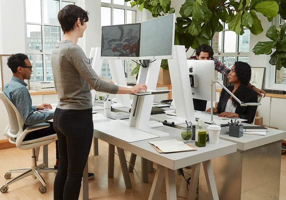 Bureau Assis Debout Ergonomiques et Adaptables - Arboreal France