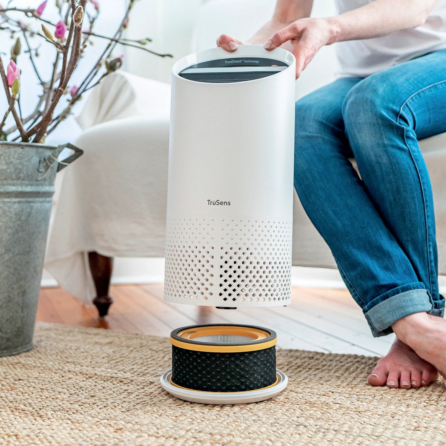 Purificateur d'Air Professionnel - Qualité et Performance pour Vos Espaces - Arboreal France